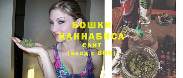 трава Алапаевск
