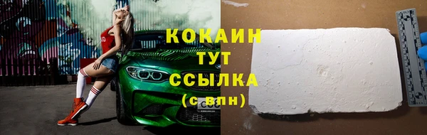 прущие грибы Аксай