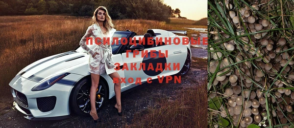 трава Алапаевск