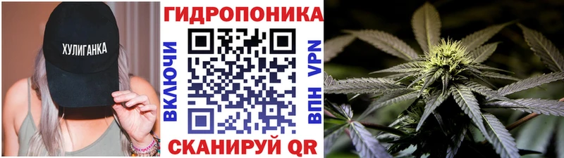 Конопля SATIVA & INDICA Ачхой-Мартан